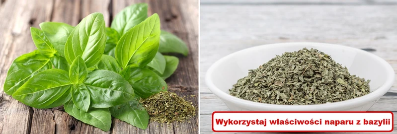 Wykorzystaj właściwości zdrowotne NAPARU Z BAZYLII