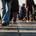 500 plus dla pełnoletnich tylko pod tym warunkiem! W 2025 roku ważne zmiany w świadczeniu ZUS