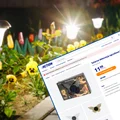 Ta lampka solarna z Action za 11 zł zrobi magię na rabacie i skalniaku! Urocze kształty, zero kabli i prądu, a ogród nabierze charakteru