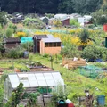 50 tys. złotych dotacji do ogródków działkowych! Pieniądze na remont i budowę - ale jest warunek