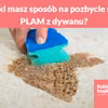Jaki masz sposób na pozbycie się PLAM z dywanu?