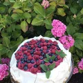 Pavlova z kremem borówkowym i curdem z owoców leśnych