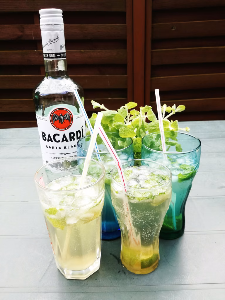 Mohito
