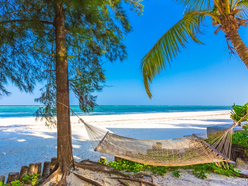 Zapraszał gwiazdy na wakacje na Zanzibar. Teraz ściga go sąd i policja! Wystawiono list gończy