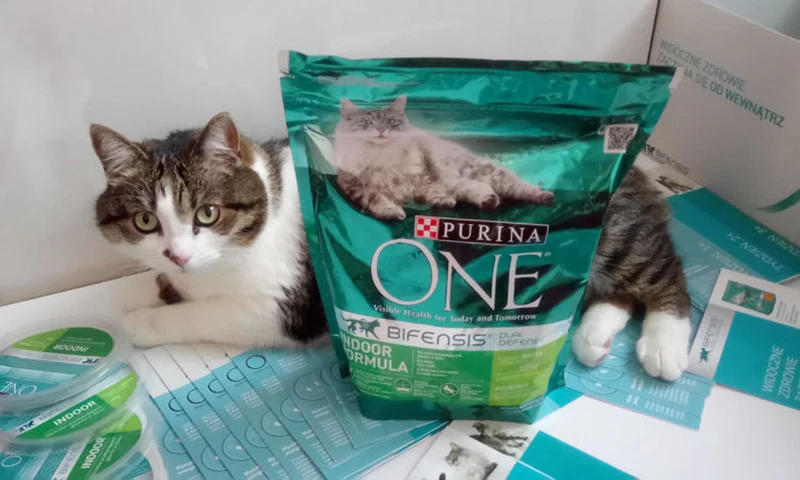 Kocie testowanie z Rekomenduj.to, czyli kampania PURINA ONE