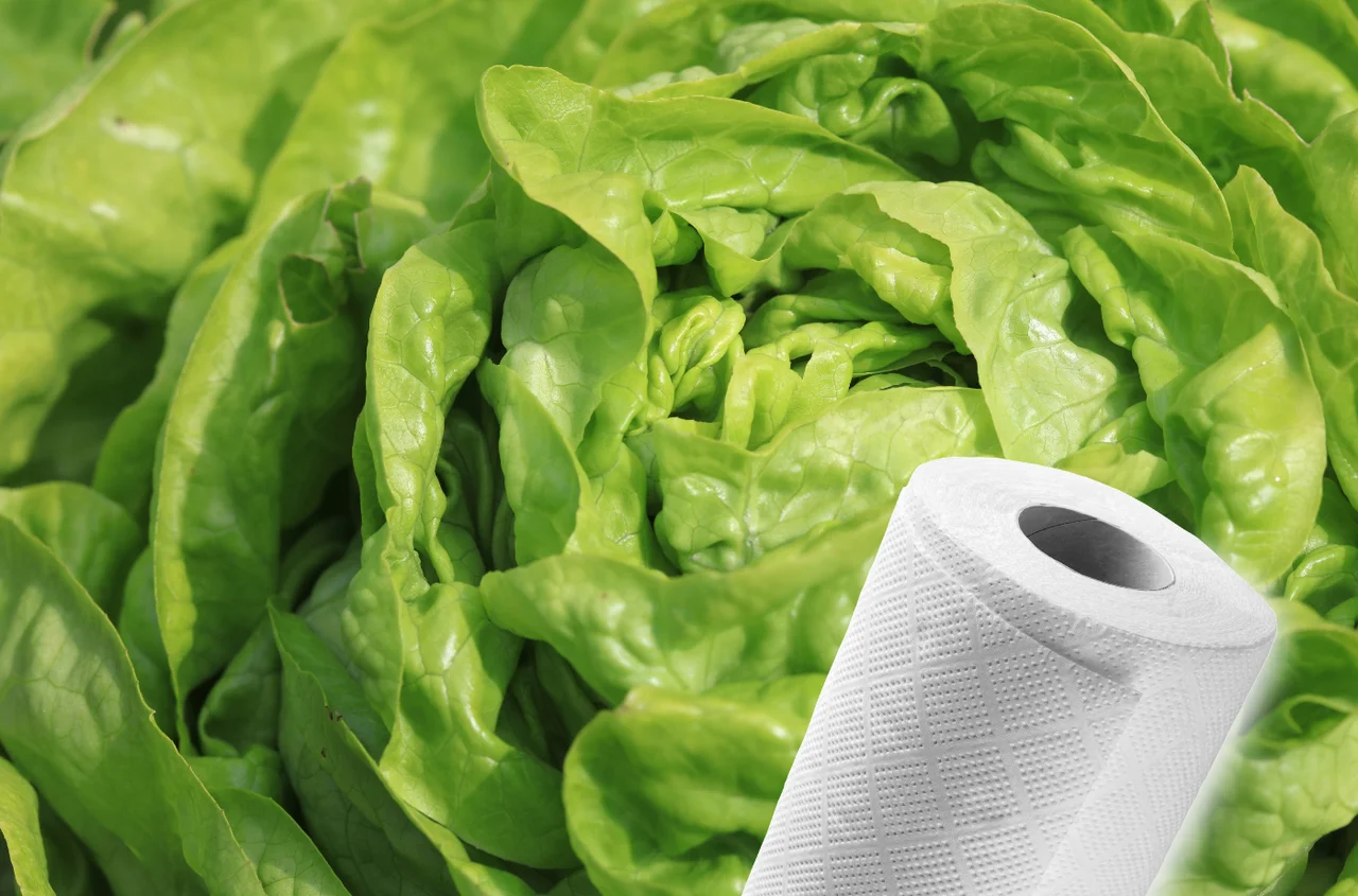 Nie trzymaj sałaty w wodzie! Ten trik z ręcznikiem kuchennym wydłuży jej świeżość o 5 dni