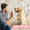 Dlaczego warto mieć PSA?