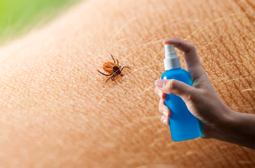 Naukowcy potwierdzają: Ten domowy spray to broń przeciwko kleszczom, której potrzebujesz!