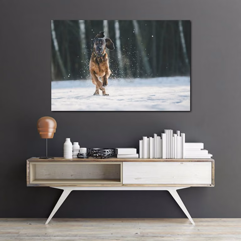 Fotografia w formie plakatu na ścianę, której motyw stanowi piesek w zimowej scenerii.