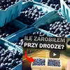Ile można zarobić sprzedając jagody przy drodze? Znany YouTuber sprawdza!