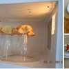 Naleśnikowe koszyczki
