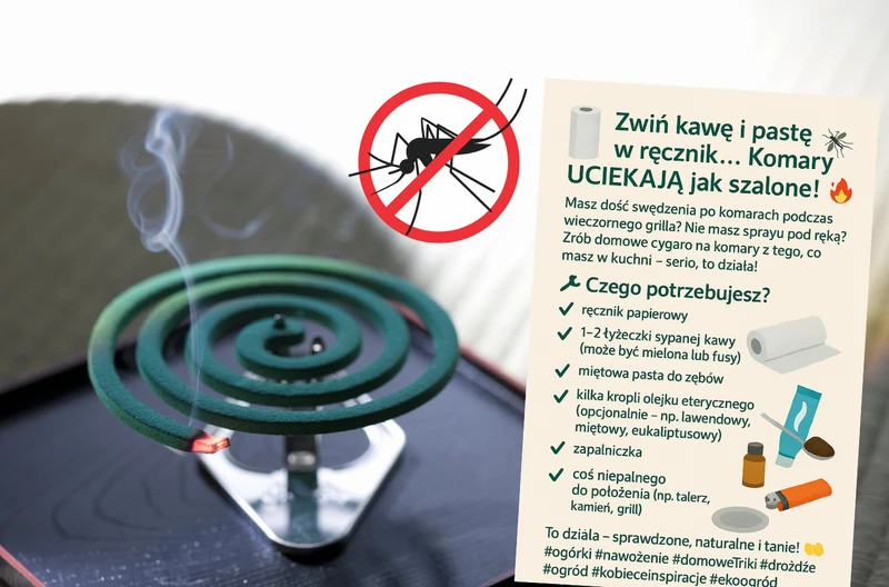 Zwiń kawę i pastę w ręcznik… Komary UCIEKAJĄ jak szalone! To „domowe cygaro” uratuje Twój wieczór w ogrodzie