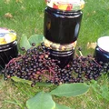 Sok z owoców czarnego bzu
