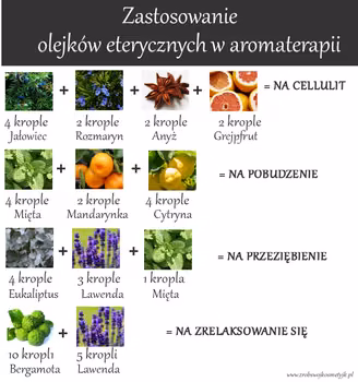 Kilka zastosowań mieszanek olejków eterycznych w Aromaterapii