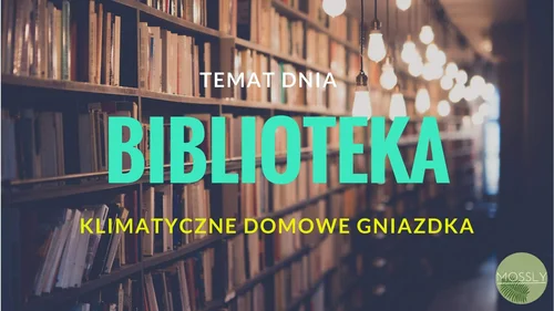 Jak urządzić domową bibliotekę, żeby zmieścić wszystkie książki i żeby było ładnie :)