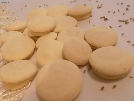 Ciateczka anyżowe