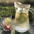 Lemoniada z czarnego bzu
