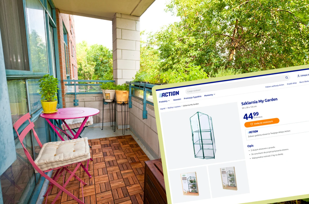 Ta mini szklarnia z Action za 44,99 zł to hit dla balkonowych ogrodników! Warzywa i zioła nawet w bloku!