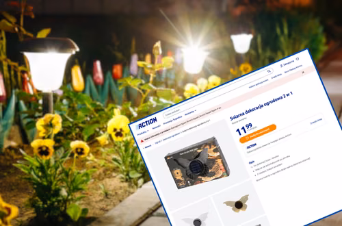 Ta lampka solarna z Action za 11 zł zrobi magię na rabacie i skalniaku! Urocze kształty, zero kabli i prądu, a ogród nabierze charakteru