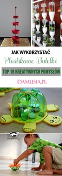 Jak Wykorzystać Plastikowe Butelki? TOP 18 Kreatywnych Pomysłów