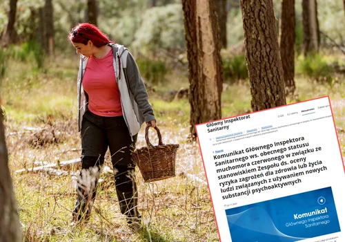 GIS wydał ważny komunikat z ostrzeżeniem! Mimo zakazu sprzedaż kwitnie, a skutki mogą być tragiczne