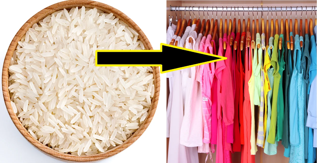 Włóż miskę ryżu do swojej szafy z ubraniami! Efekt cię zaskoczy