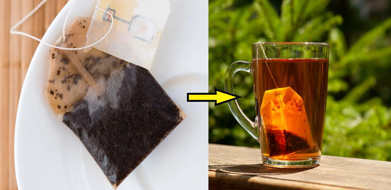 Torebki po herbacie – zamiast wyrzucać do kosza, wykorzystaj je na wiele ciekawych sposobów!