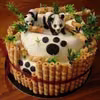 Torcik panda