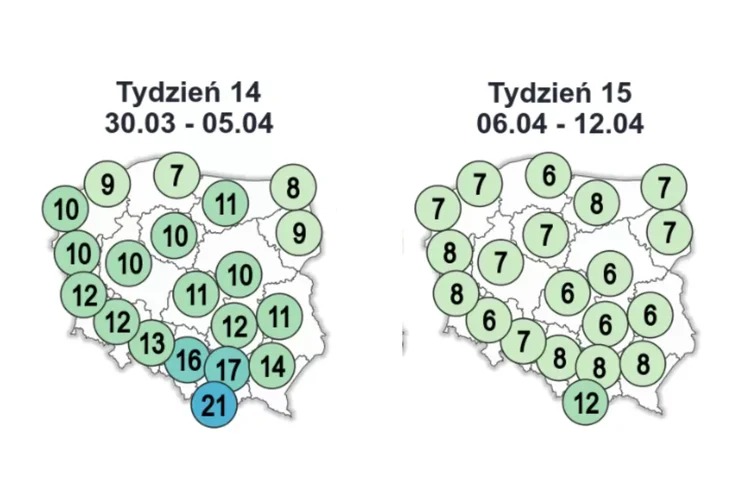 Zdjęcie Jaka pogoda na Wielkanoc 2026? lMGW podało temperatury maksymalne - Polacy niezadowoleni #3
