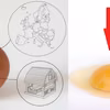 Czy jaja od kur z różnych chowów naprawdę różnią się jakością?