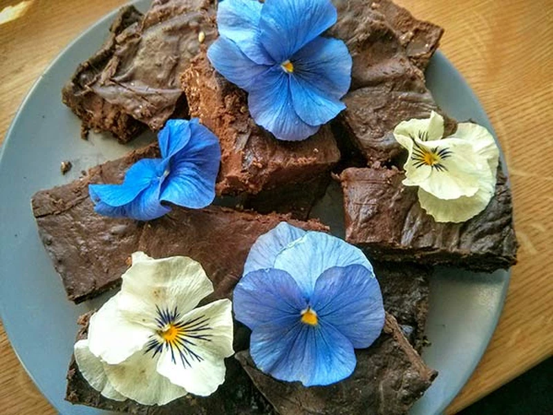 Mazurek bardzo czekoladowy bez pieczenia