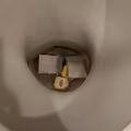 Wiele osób wrzuca torebkę po herbacie do toalety! Sprawdź dlaczego