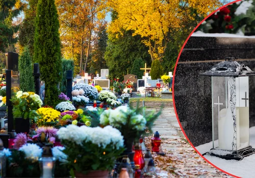 Te znicze powinny zniknąć z cmentarzy? Eksperci nie mają wątpliwości!