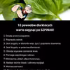 10 powodów dla których warto sięgnąć po SZPINAK!