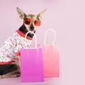 Te 2 znaki zodiaku zawsze wydają fortunę w sklepie! „Lista zakupów? A co to takiego?