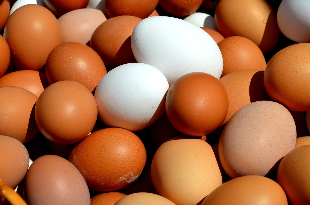 Co oznaczają kody na jajkach?