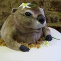 Tort ze świstakiem