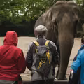 Dzień Miłośników Zoo: Jak Świętować i Dlaczego Zoo Są Ważne