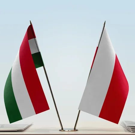 Dzień Przyjaźni Polsko-Węgierskiej: Świętowanie Wiecznej Przyjaźni