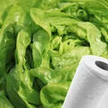 Nie trzymaj sałaty w wodzie! Ten trik z ręcznikiem kuchennym wydłuży jej świeżość o 5 dni