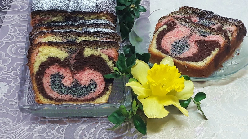 Babka tulipan