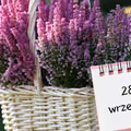 Kartka z kalendarza: 28 września - imieniny, gwiazdy, nietypowe święta! Odkryj sekrety tego dnia!