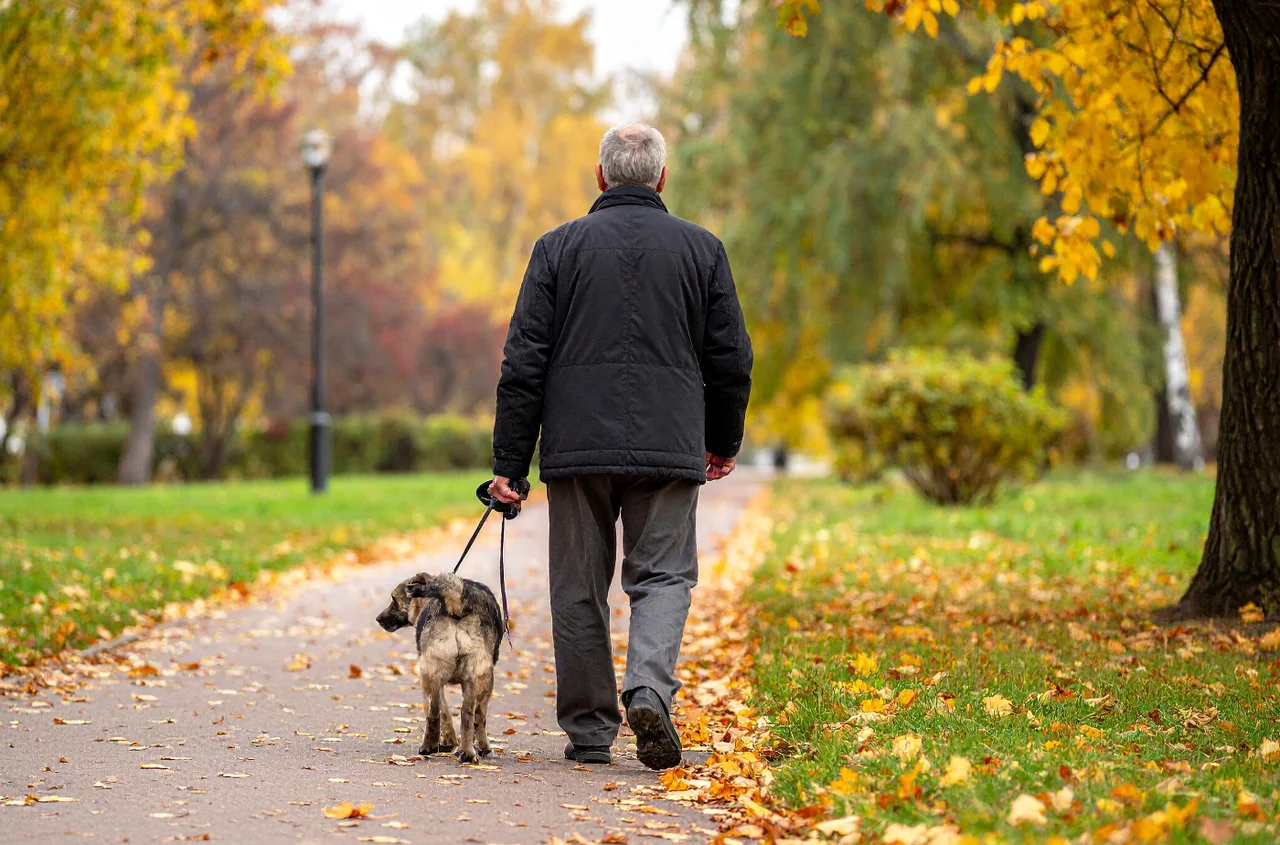 Czy 1 i 2 listopada to dni wolne od pracy? Wielu pracownikom to święto „przepadnie”!