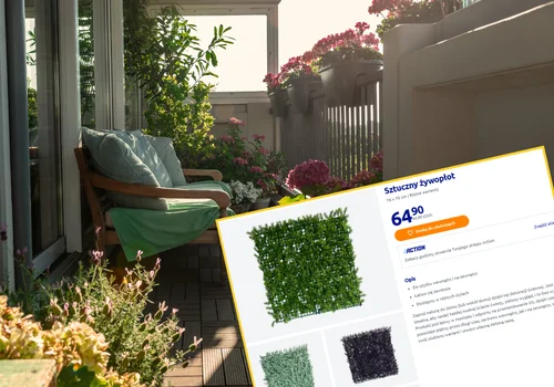 Te panele z Action totalnie odmienią balkon i wnętrze! Za 65 zł zielona oaza przez cały bez podlewania, a montaż to pikuś