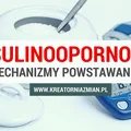 Insulinooporność - mechanizmy powstawania