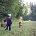 Jak nie zgubić się na grzybach? ! Sprawdź, podstawowe zasady bezpieczeństwa w lesie!