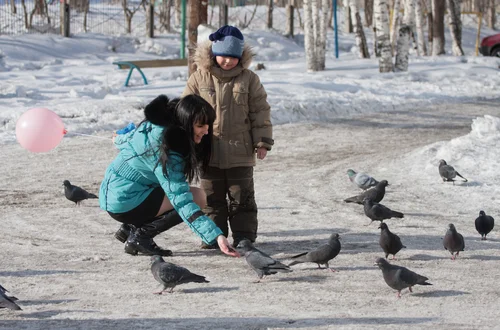 Mądre dokarmianie – jak uczyć dzieci troski o ptaki, nie szkodząc im przy okazji?