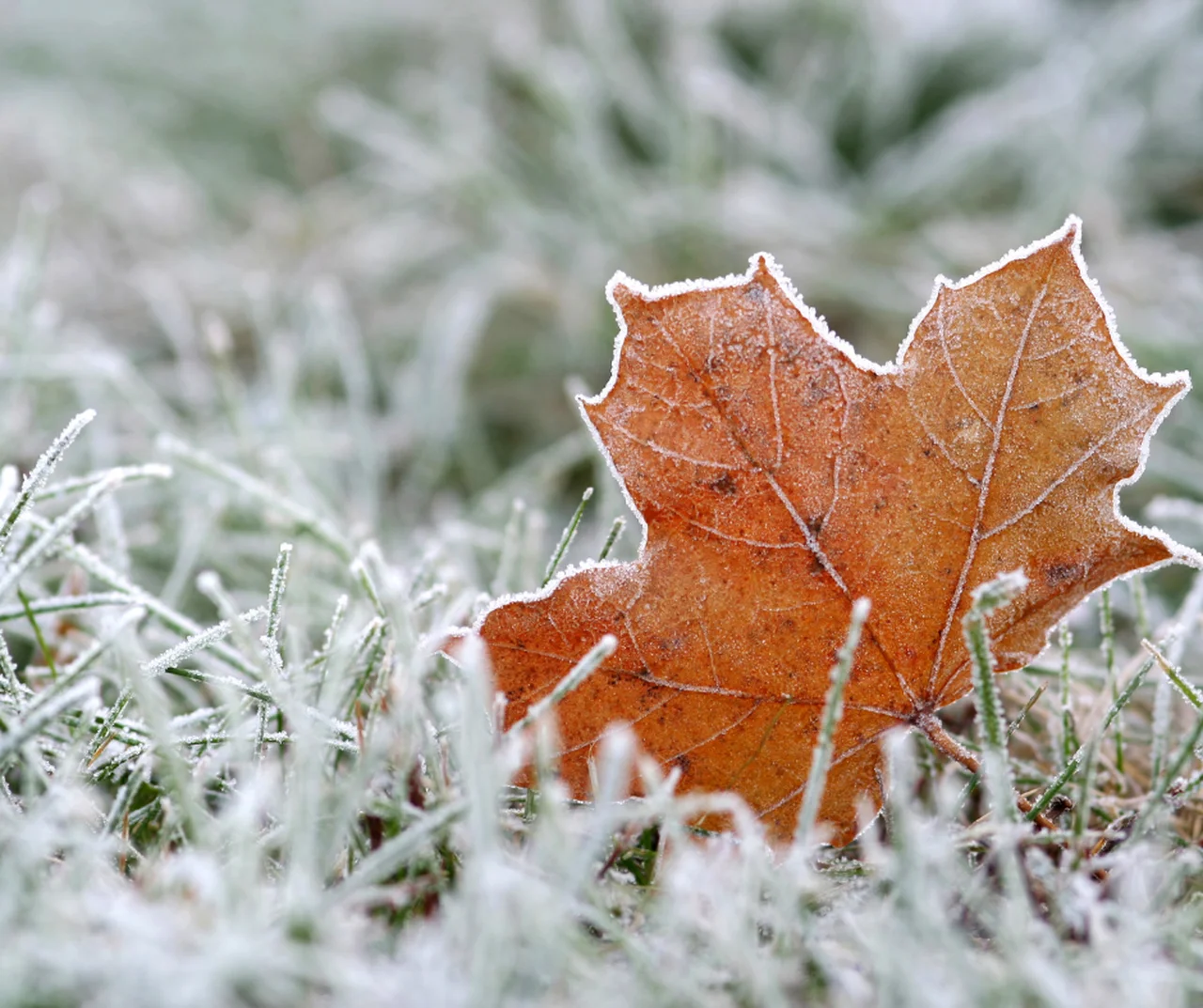 Zima wraca do Polski? Znamy datę nagłego ochłodzenia!