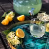 Lemoniada z kwiatów czarnego bzu