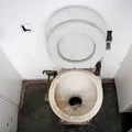 Jak wyszorować MUSZLĘ KLOZETOWĄ?
